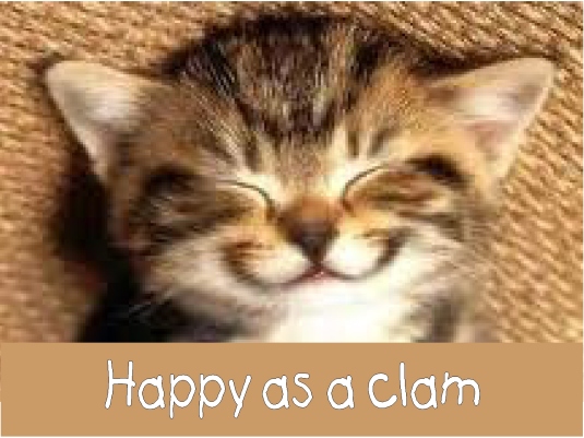 happy as a clam 1a