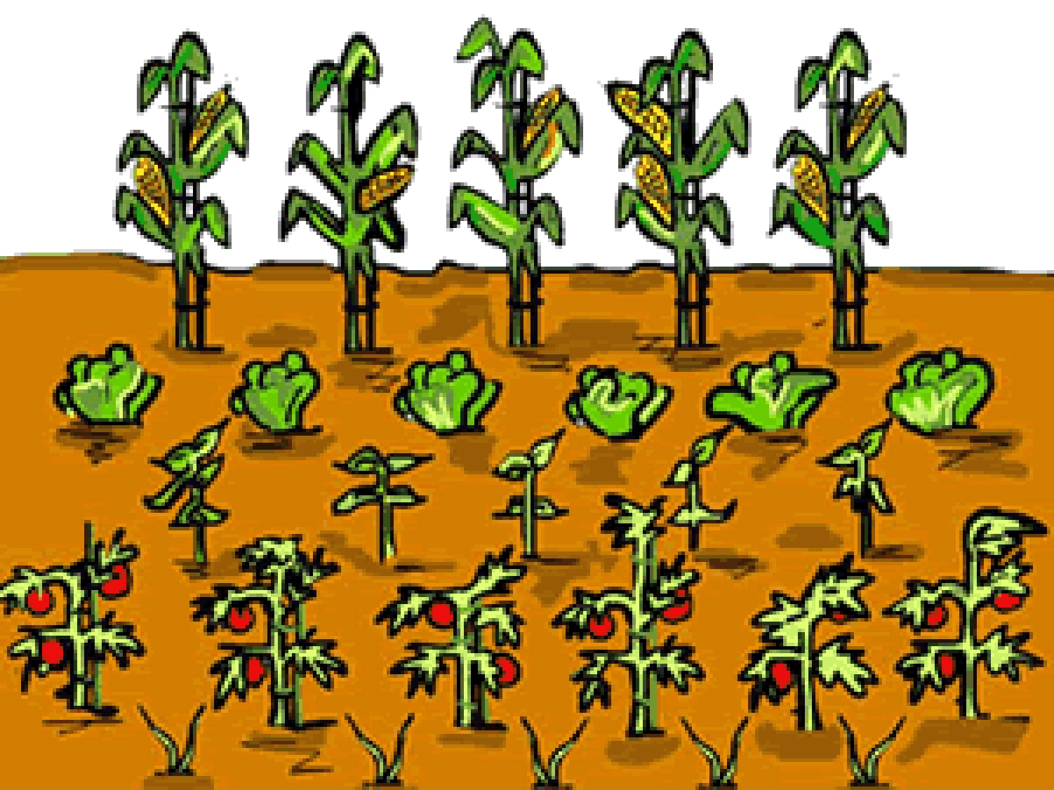 clipart gardening pictures - photo #44